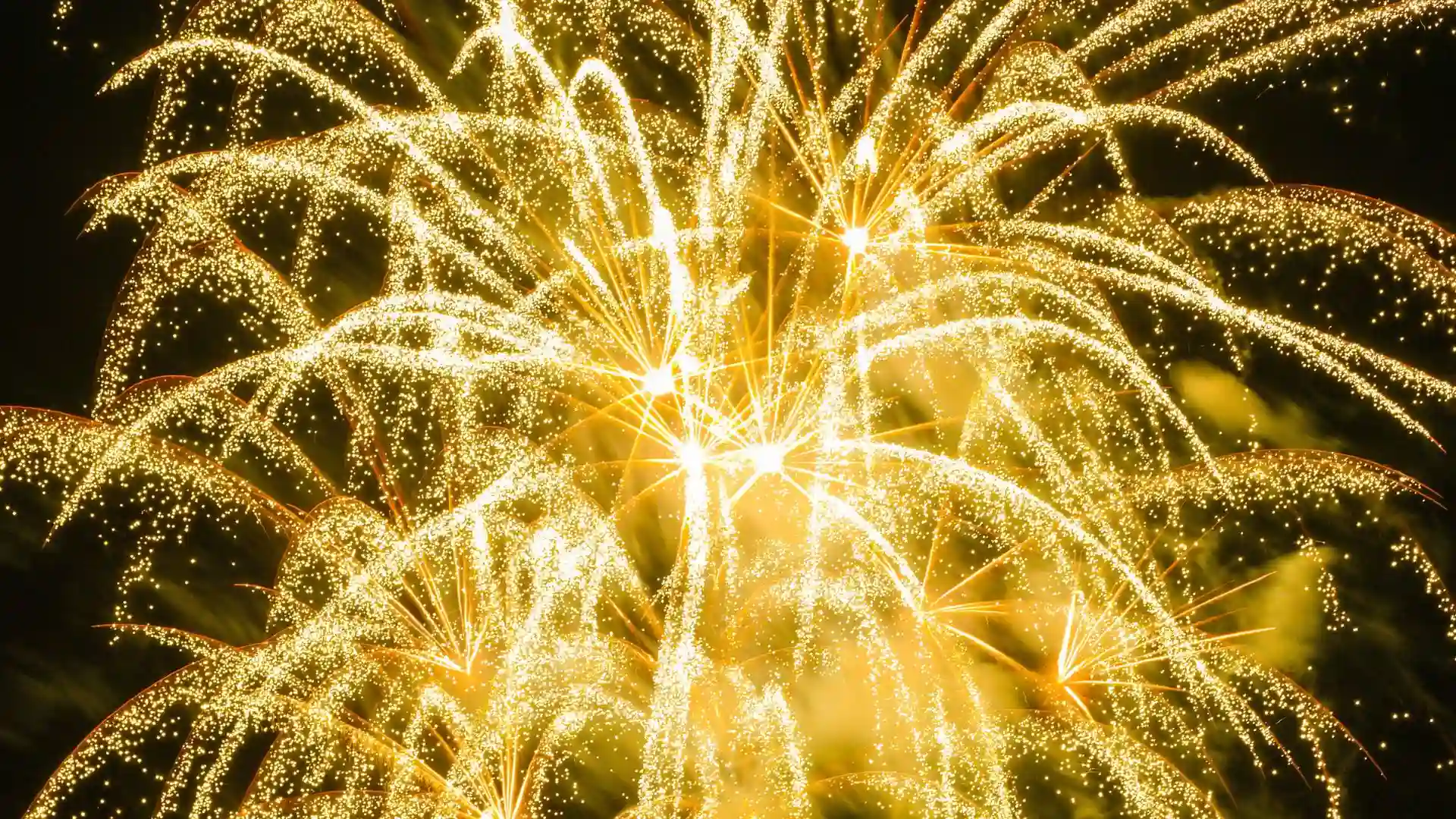 Goldregen zu Silvester Bild vom Goldregen zur Symbolisierung von Silvester
